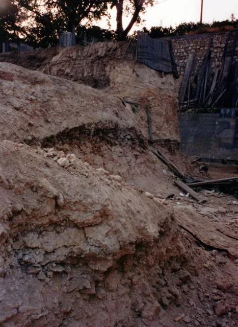 Frankhegy kialakítása (Cultural Terraformation): az archívum galériájának 60. fényképe (109 közül)