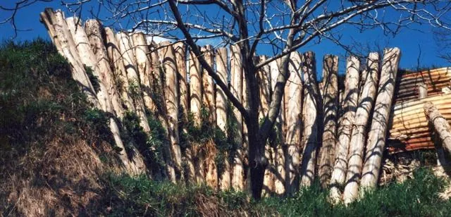 Frankhegy kialakítása (Cultural Terraformation): az archívum galériájának 108. fényképe (109 közül)