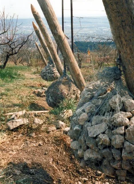 Frankhegy kialakítása (Cultural Terraformation): az archívum galériájának 94. fényképe (109 közül)