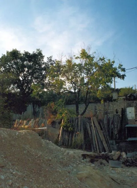 Frankhegy kialakítása (Cultural Terraformation): az archívum galériájának 80. fényképe (109 közül)