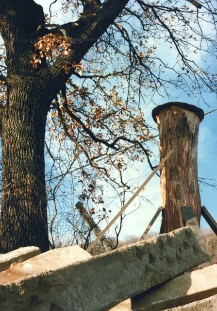 Frankhegy kialakítása (Cultural Terraformation): az archívum galériájának 36. fényképe (109 közül)